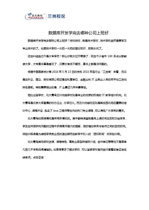 数据库开发学完去哪种公司上班好
