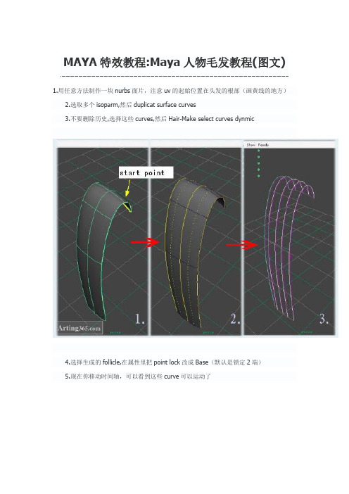 Maya人物毛发教程