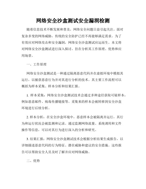 网络安全沙盒测试安全漏洞检测