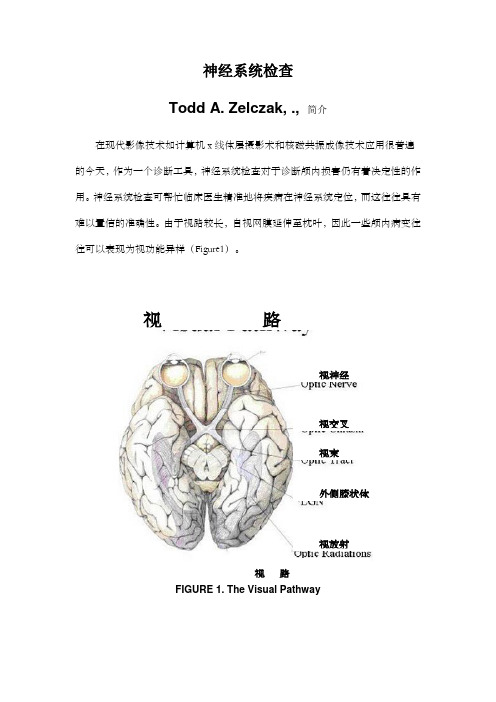 神经系统检查(中英对照)