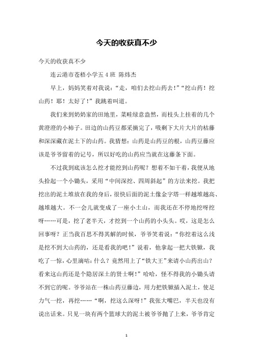 今天的收获真不少