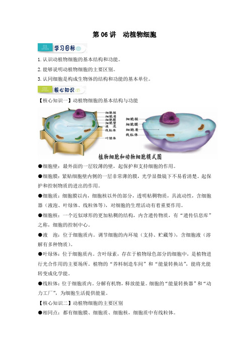 人教版七年级生物上册《第06讲 动植物细胞》精品课训练题及答案