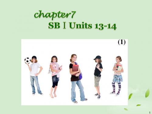 广西省高考英语轮一轮复习 Chapter7 SBⅠUnits 13～14(1)课件