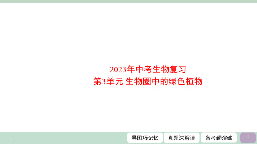 第3单元 生物圈中的绿色植物-2023年中考生物一轮复习(北师大版)