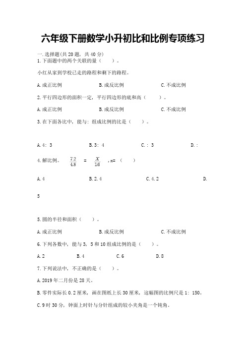 六年级下册数学小升初比和比例专项练习加答案