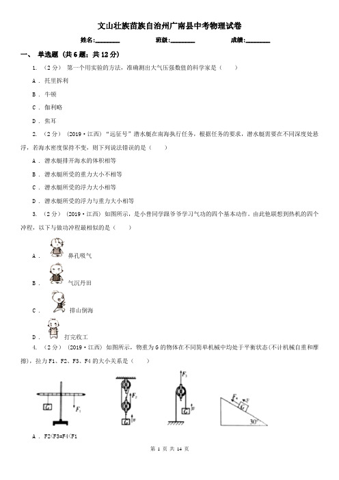 文山壮族苗族自治州广南县中考物理试卷