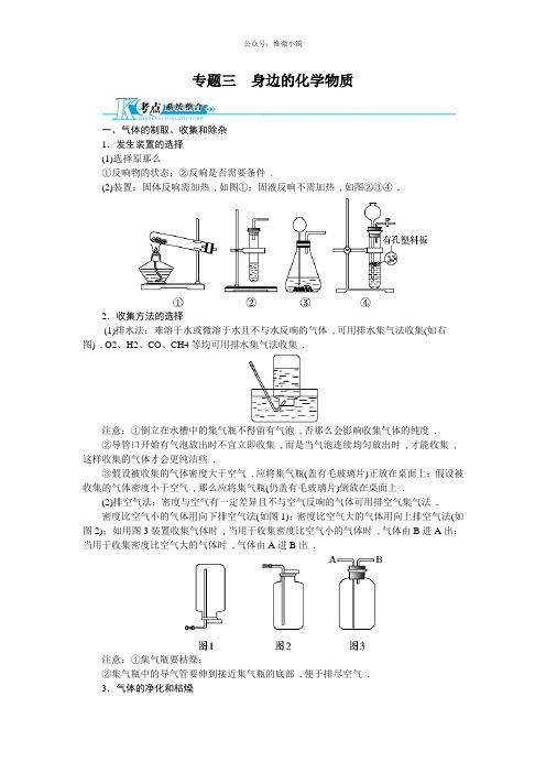 (精编)2021版中考化学总复习(人教版)精讲精练：专题 身边的化学物质