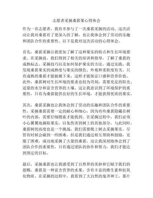 志愿者采摘桑葚果心得体会