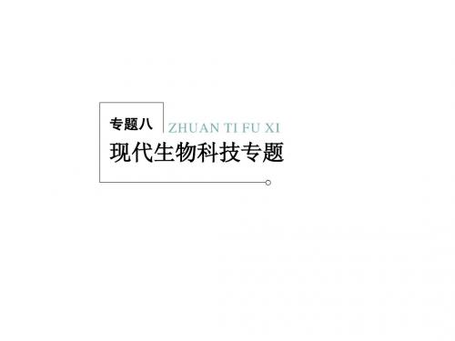 2013新课标高考生物二轮复习专题课件：8-1 基因工程和细胞工程