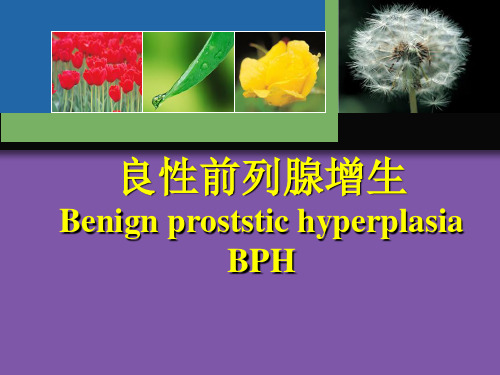 BPH