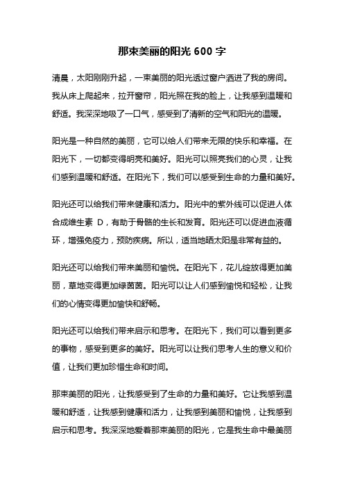 那束美丽的阳光600字