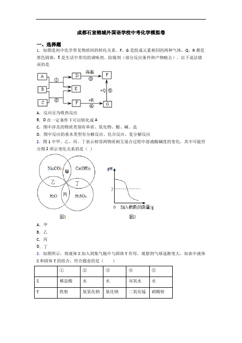 成都石室锦城外国语学校中考化学模拟卷