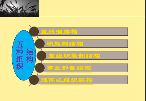 管理学作业五种组织结构介绍