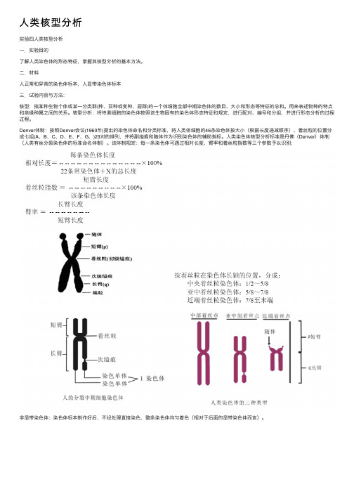 人类核型分析