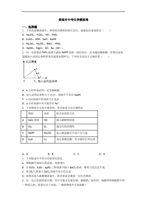 娄底市中考化学模拟卷