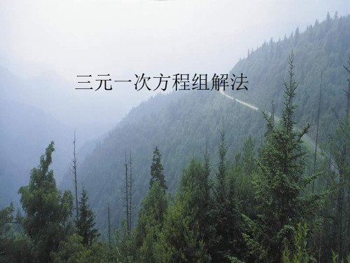 人教版阅读与思考一次方程组的古今表示及解法