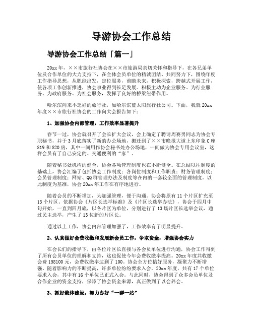 导游协会工作总结