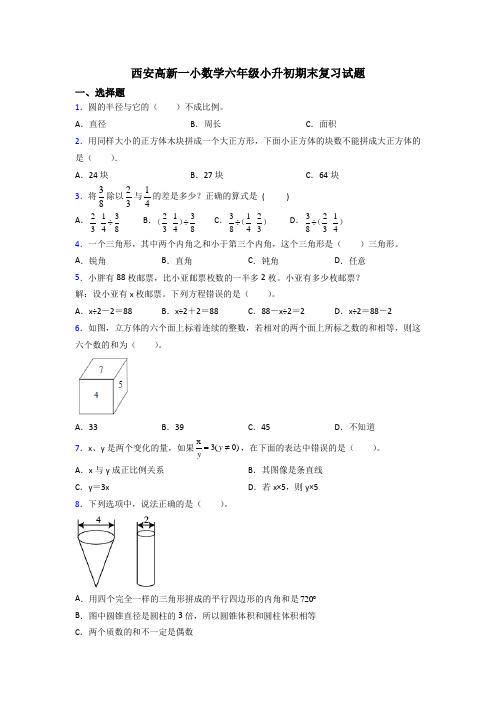 西安高新一小数学六年级小升初期末复习试题