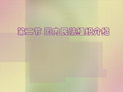 航空国内民航组织介绍