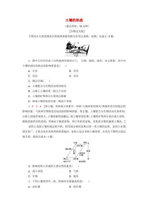 高中地理课后作业16土壤的形成含解析湘教版