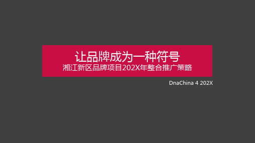 地产项目商业广场商业综合体品牌联合整合推广策略方案