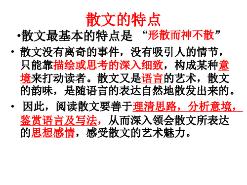 在母语的屋檐下  散文阅读讲评