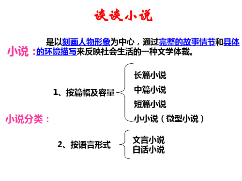 安恩和奶牛