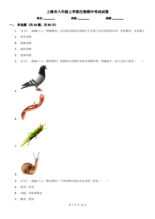 上海市八年级上学期生物期中考试试卷