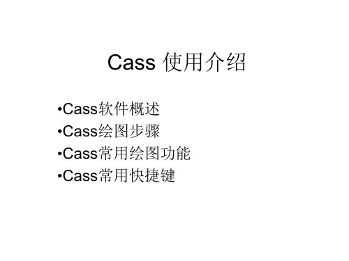 Cass 使用介绍