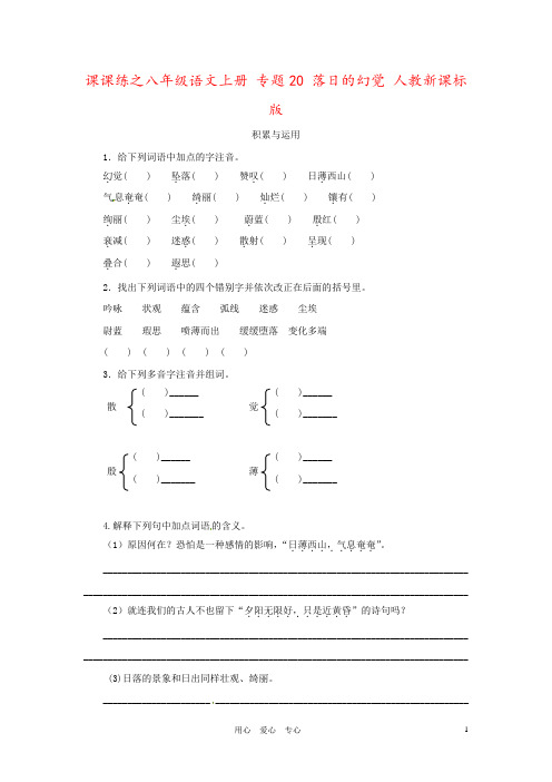 课课练之八年级语文上册 专题20 落日的幻觉 人教新课标版