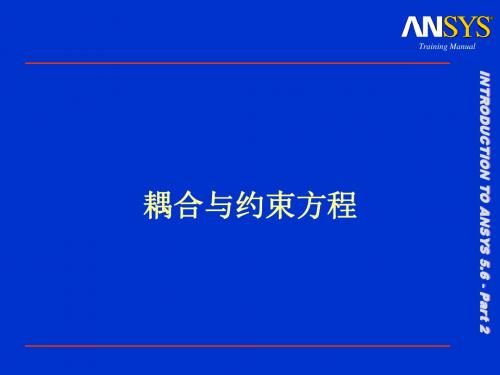 203耦合与约束方程-PPT精选文档