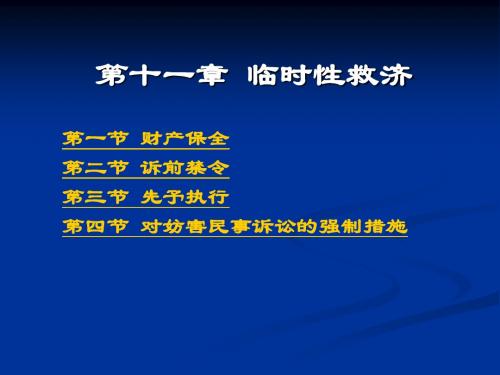 民事诉讼法 民诉第十一章临时性救济