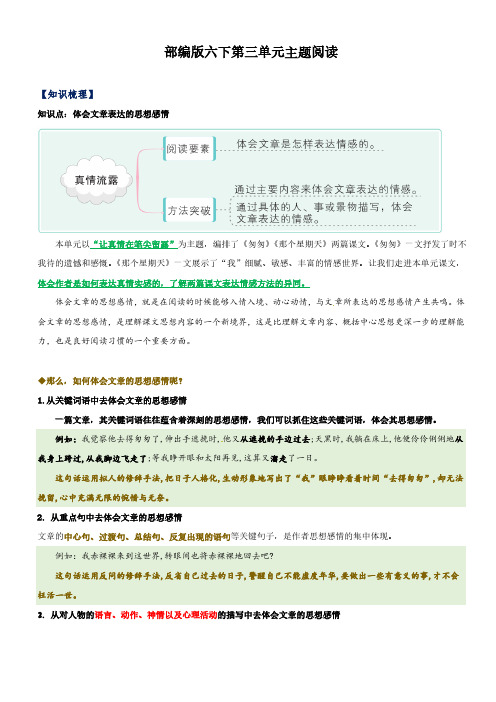 第3单元主题阅读(知识梳理+精选阅读)六年级语文下册 部编版