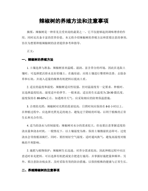 辣椒树的养殖方法和注意事项