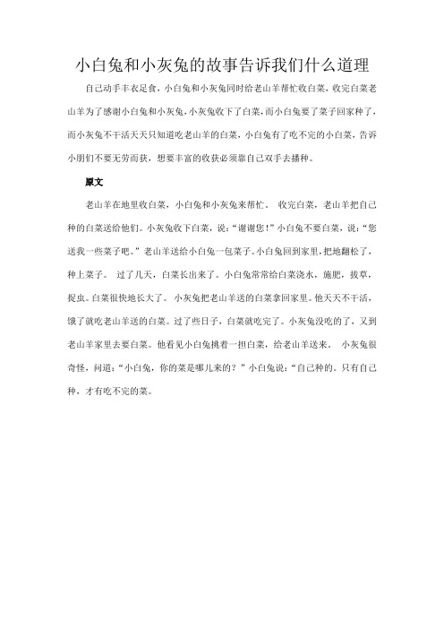 小白兔和小灰兔的故事告诉我们什么道理