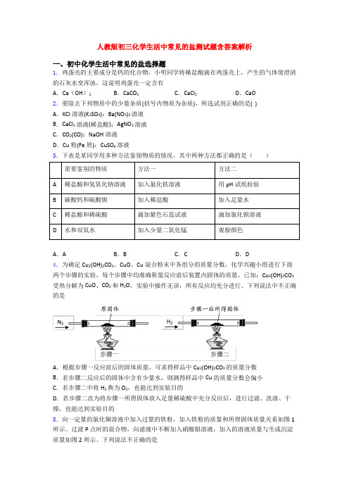 人教版初三化学生活中常见的盐测试题含答案解析