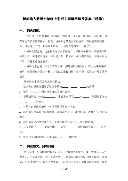 新部编人教版六年级上册语文理解阅读及答案(精编)