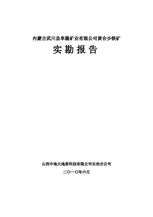 内蒙古武川县阜隆铁矿实勘报告