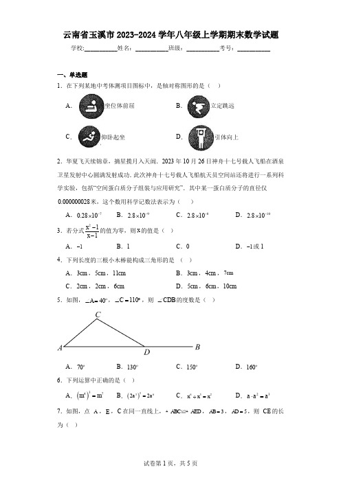 云南省玉溪市2023-2024学年八年级上学期期末数学试题