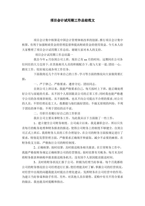 项目会计试用期工作总结范文-模板