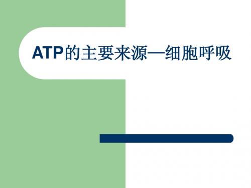 ATP的主要来源——细胞呼吸(教案)