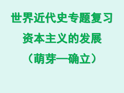 专题    资本主义的萌芽和确立