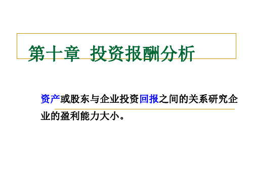第十章投资报酬分析课件