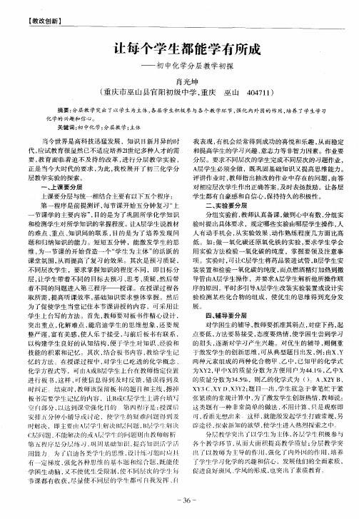 让每个学生都能学有所成——初中化学分层教学初探