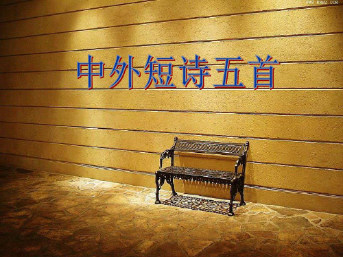 人教语文必修1《中外短诗五首》ppt课件
