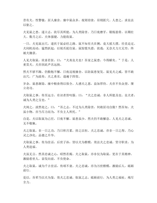 良狗取鼠文言文翻译