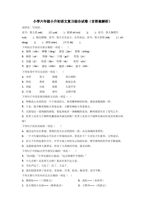 小学六年级小升初语文复习综合试卷(含答案解析)