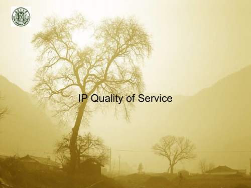 ipqos