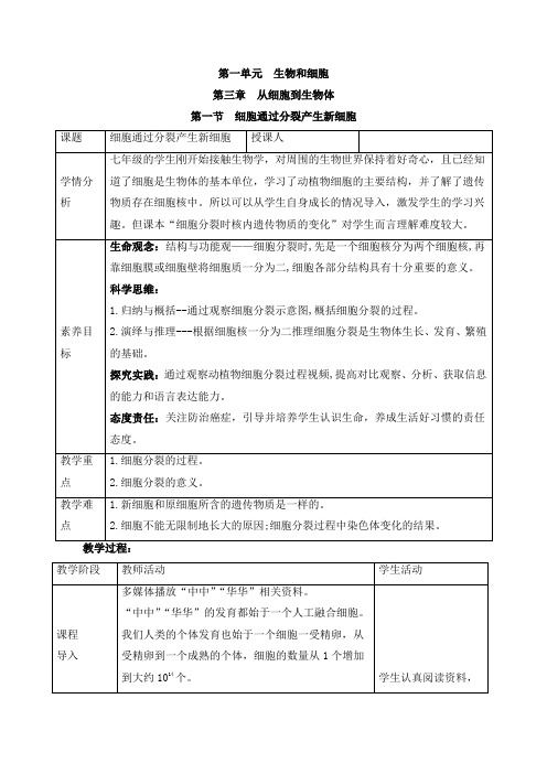 人教版(2024新板)七年级生物上册第一单元第三章第一节《细胞通过分裂产生新细胞》教案