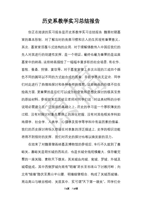 历史系教学实习总结报告